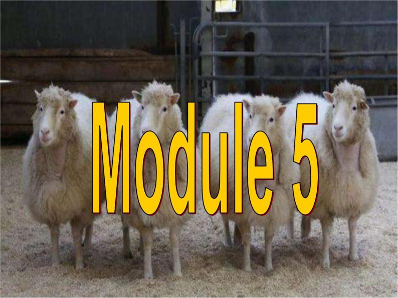 Module 5 CloningVocabulry and ReadingPPT课件02