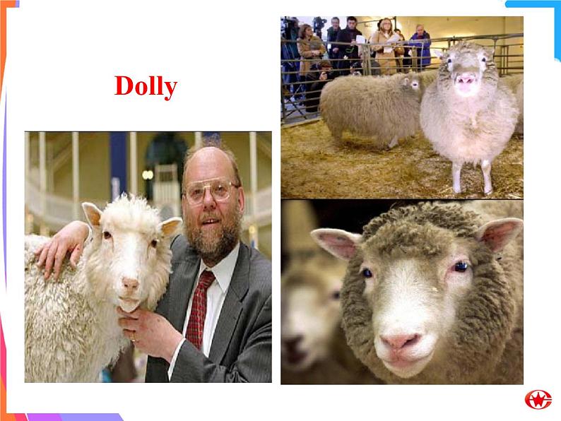 Module 5 CloningVocabulry and ReadingPPT课件第6页