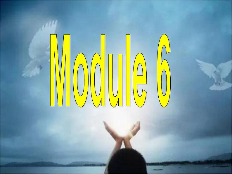 Module 6 War and PeaceReading and Vocabulary PPT课件第2页