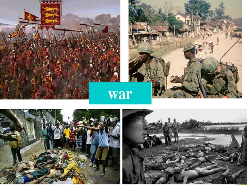 Module 6 War and Peace Introduction PPT课件第5页