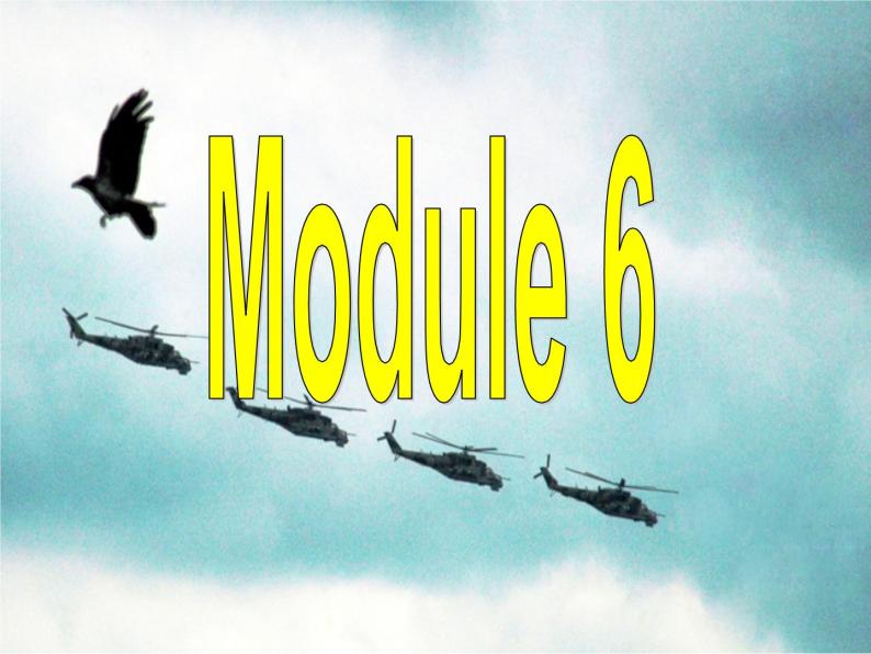 Module 6 War and Peace Vocabulary and Reading PPT课件02
