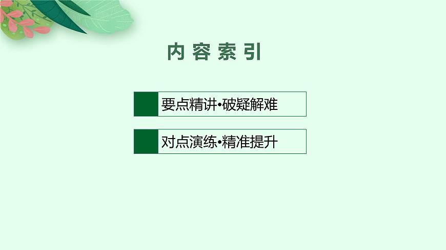 人教版新高考英語二輪復(fù)習(xí)課件--冠詞、代詞和介詞第2頁(yè)