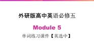 外研版必修5Module 5 The Great Sports Personality精品ppt课件