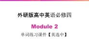 高中英语Module 2 Traffic Jam优质课件ppt