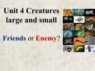 牛津上海版高中一年级第二学期Unit 4 Creatures large and small reading Creatures large and small Friends or Enemy_ 课件