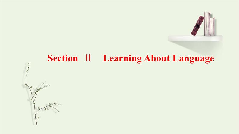 2021_2022学年新教材高中英语UNIT4JOURNEYACROSSAVASTLANDSectionⅡLearningAboutLanguage课件新人教版选择性必修第二册第1页