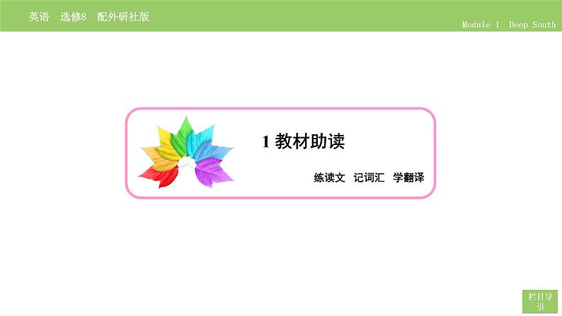 高中英语外研版选修8 Module 1 Section Ⅰ PPT课件07
