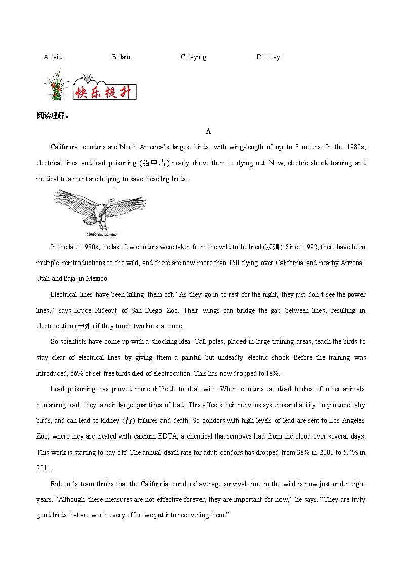 新课练17 分词- 【衔接教材·暑假作业】新高二英语(人教版)(原卷版)第2页
