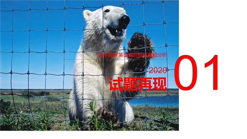 专题07 2020年7月浙江卷(遇熊脱险)-2022年新高考英语读后续写历年真题解析(PPT课件)第3页