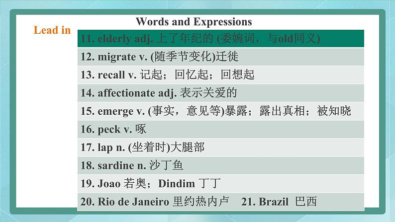 上外版2020高中英语必修二Unit 2 Animals Period 6 Reading B课件03