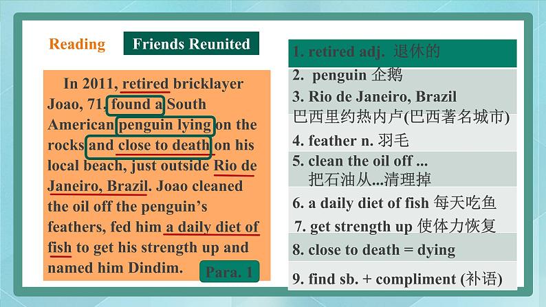 上外版2020高中英语必修二Unit 2 Animals Period 6 Reading B课件05