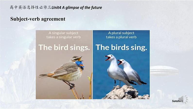 高中英语 选必B3 Unit4 A glimpse of the future 第三课时—Using Language 课件04
