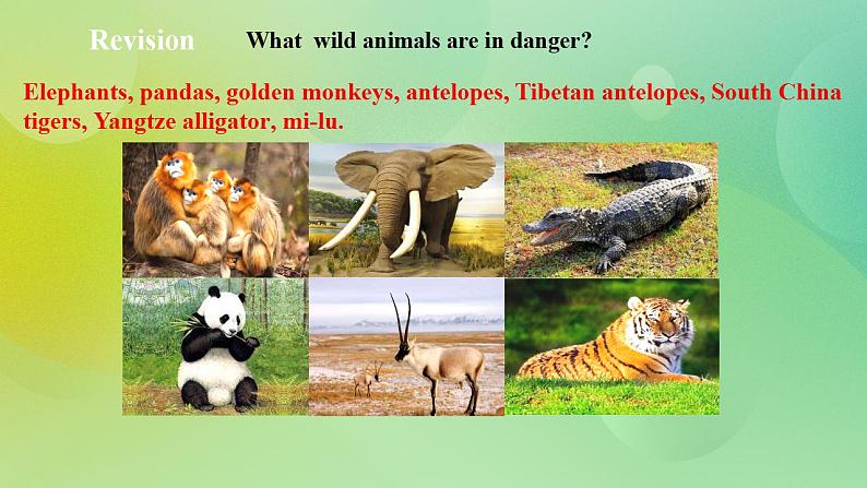 人教版 2019 高中必修2英语 Unit2 Wildlife Protection Period 2 Reading and Thinking 课件+学案+练习+音频02