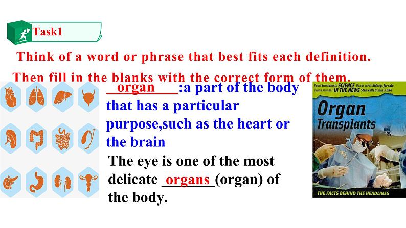 高中英语选择性必修二 Unit5 First aid Period 2 Build up your vocabulary课件02