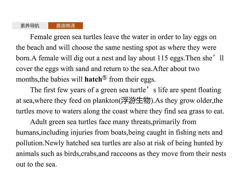 高中英语选择性必修四 Unit 3 Section A Reading and Thinking 课件第5页
