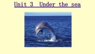 高中英语人教版 (新课标)选修7&8Unit 3 Under the sea授课ppt课件