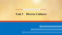 (新高考)高考英语一轮复习课件必修三 Unit 3 Diverse Cultures (含详解)