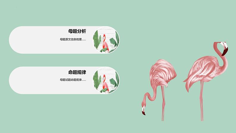 【高考真题解密】高考英语真题题源——专题01《阅读理解(文学概论)》母题解密课件(新高考卷)第8页