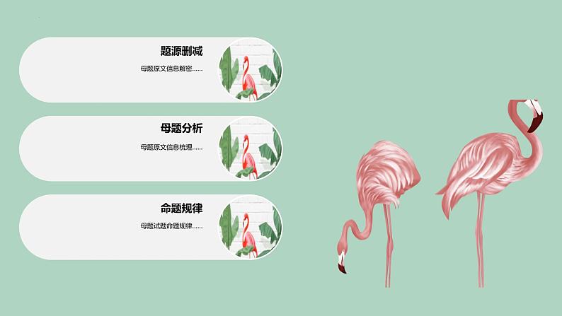 【高考真题解密】高考英语真题题源——专题03《阅读理解(关爱老人)》母题解密课件(新高考卷)第8页
