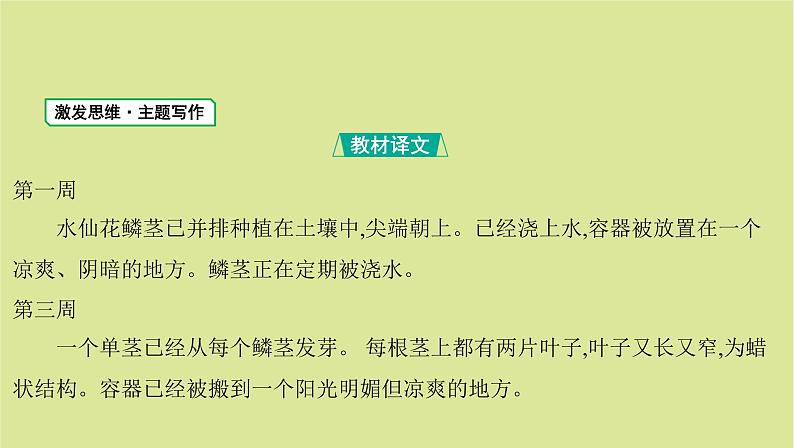 外研版高中英语选择性必修第一册unit5 revealing nature sectionⅵ writing课件第2页