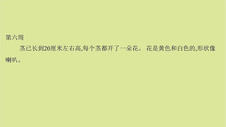 外研版高中英语选择性必修第一册unit5 revealing nature sectionⅵ writing课件第3页