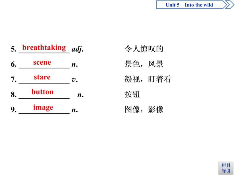 Unit 5 Into the wild Section Ⅱ　Integrating skills & Developing ideas(PPT课件)03