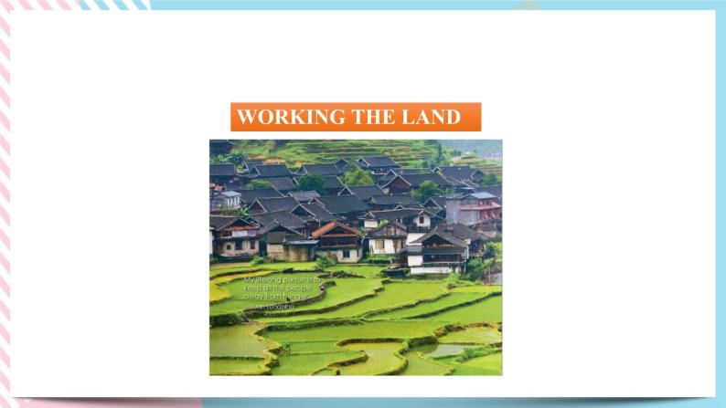 Unit 5 Working the Land  Reading and Thinking 课件03