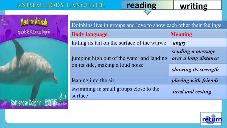 Unit 4 Body Language Reading for Writing课件06