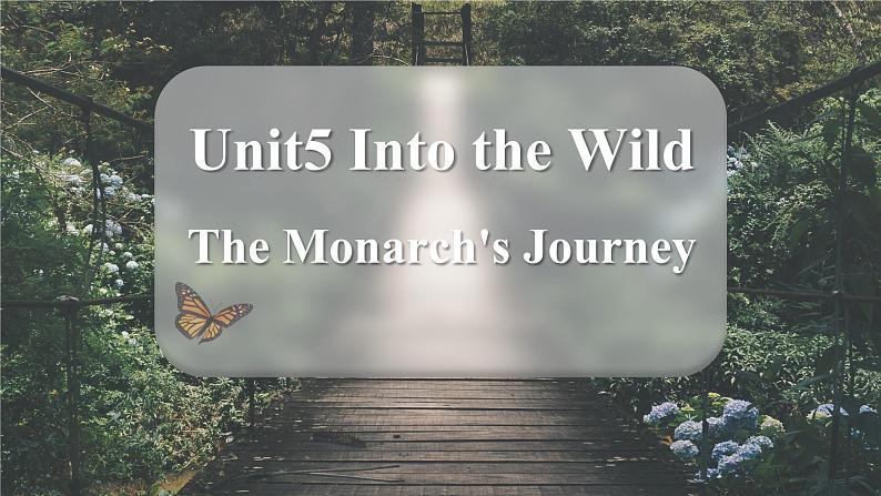 Unit 5 Into the wild Understanding ideas 课件 2022-2023学年高中英语外研版(2019)必修第一册第1页