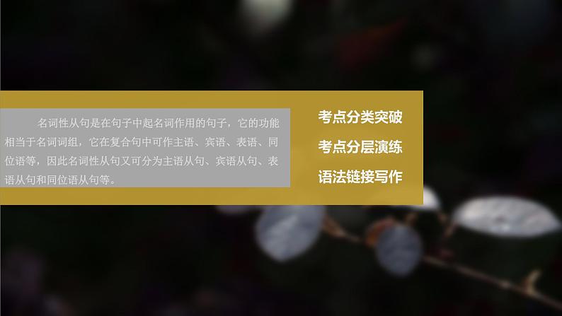 高中英语高考第2部分 语法专题 专题四 第2讲 名词性从句课件PPT02