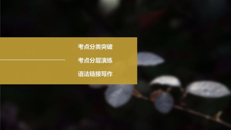 高考英语一轮复习课件  第2部分 语法专题 专题3 不可忽视的小词05