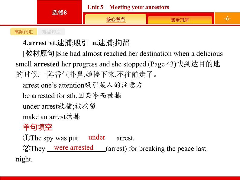 高中英语高考8 5 Unit 5 Meeting your ancestors课件PPT06