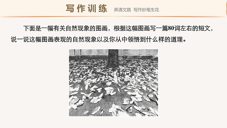 高中外研版英语新教材选修第3册课件+讲义 Unit 5 第05讲 Writing06
