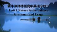 牛津译林版 (2019)必修 第三册Grammar and usage课文配套课件ppt