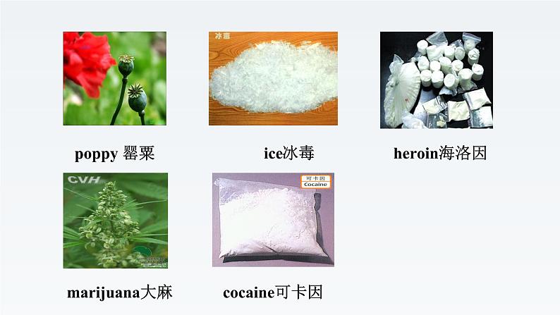 新牛津译林版高中英语选修二Unit1Beware and Take Care-Extended Reading课件02