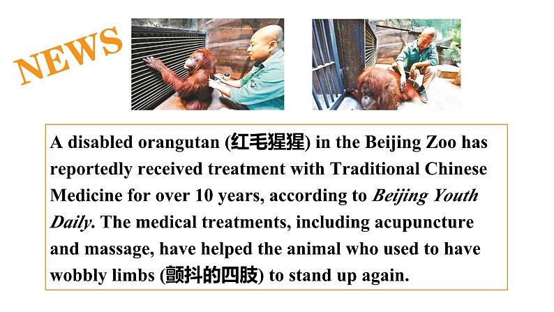 新牛津译林版高中英语选择性必修二Unit3Fit for Life-Extended Reading课件04