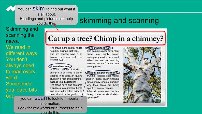 高一上学期英语阅读技巧--skimming课件PPT03