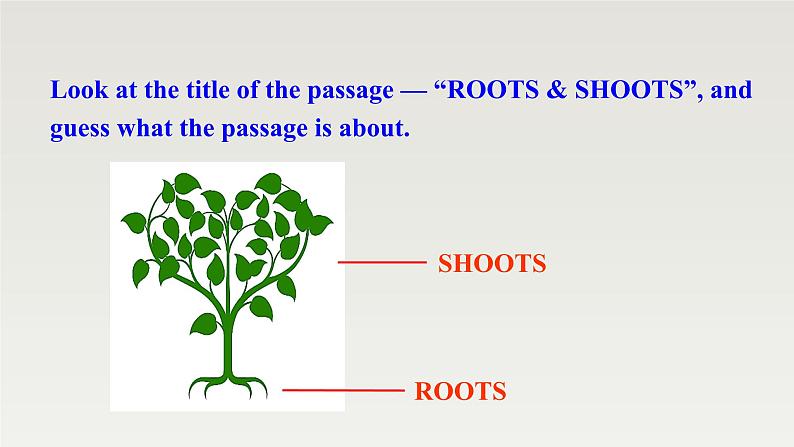新北师大版高中英语必修三Unit8Green Living-Lesson1Roots and Shoots课件06