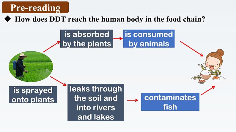 新外研社高中英语选择性必修三Unit6Nature in words-Developing Ideas课件04