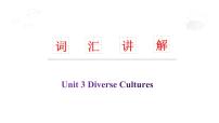 人教版 (2019)必修 第三册Unit 3 Diverse Cultures授课ppt课件