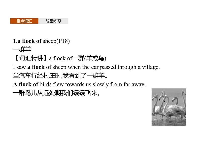 【复习课件】人教版(2019)高中英语选择性必修第四册 Unit 2 Section C Using Language (Ⅰ) 课件06