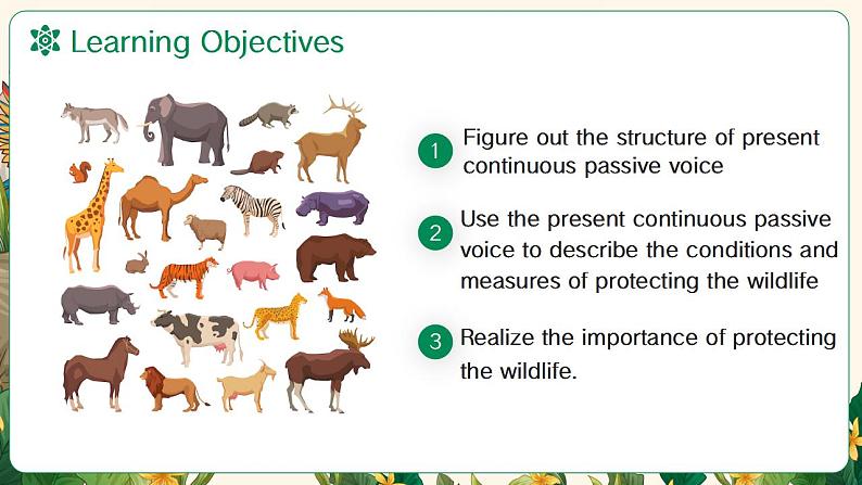 人教版(2019)高中英语必修二Unit2 Wildlife Protection Discovering useful structures 语法课件02