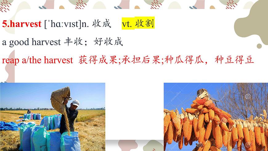 Unit 2 Let’s celebrate 單詞課件第5頁(yè)