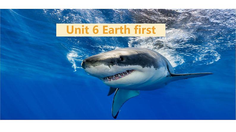 Unit 6 Earth first - starting out & understanding ideas 课件01