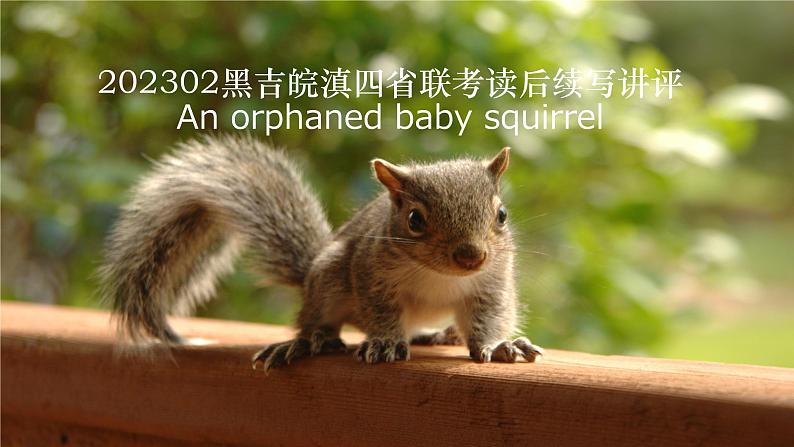 高考真题之读后续写01 2023年2月四省联考(收养小松鼠)01