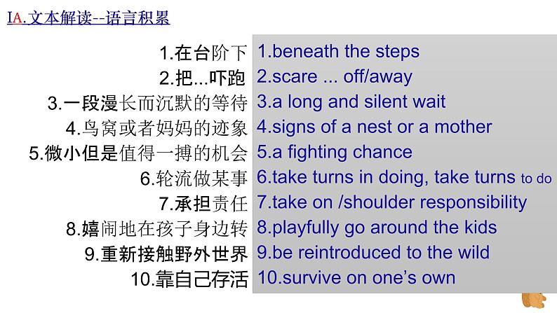 高考真题之读后续写01 2023年2月四省联考(收养小松鼠)03