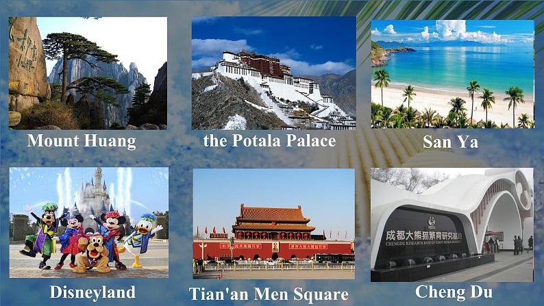 人教版2019高中英语必修一 Unit2 Listening and speaking 课件+教案04