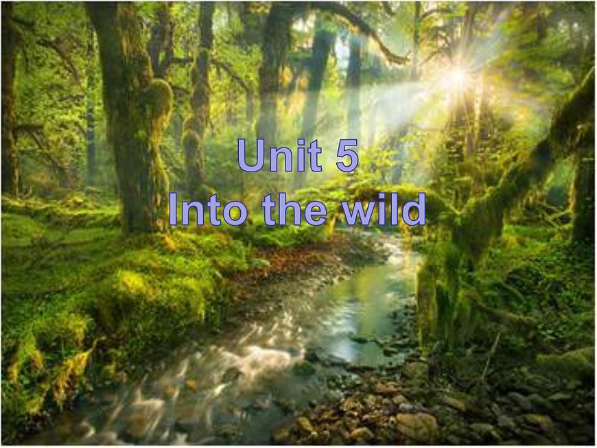 外研版（2019）高中英語(yǔ)必修一Unit5 Into the wild Understanding ideas 課件第2頁(yè)