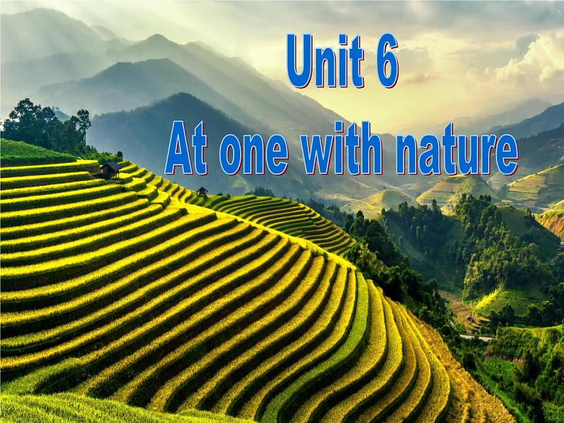 外研版(2019)高中英语必修一课件 Unit 6 At one with nature Understanding ideas 课件02