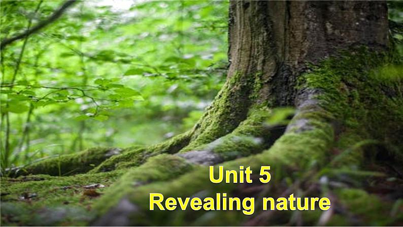 外研版(2019)高中英语选择性必修一 Unit 5 Revealing nature Presenting ideas 课件02